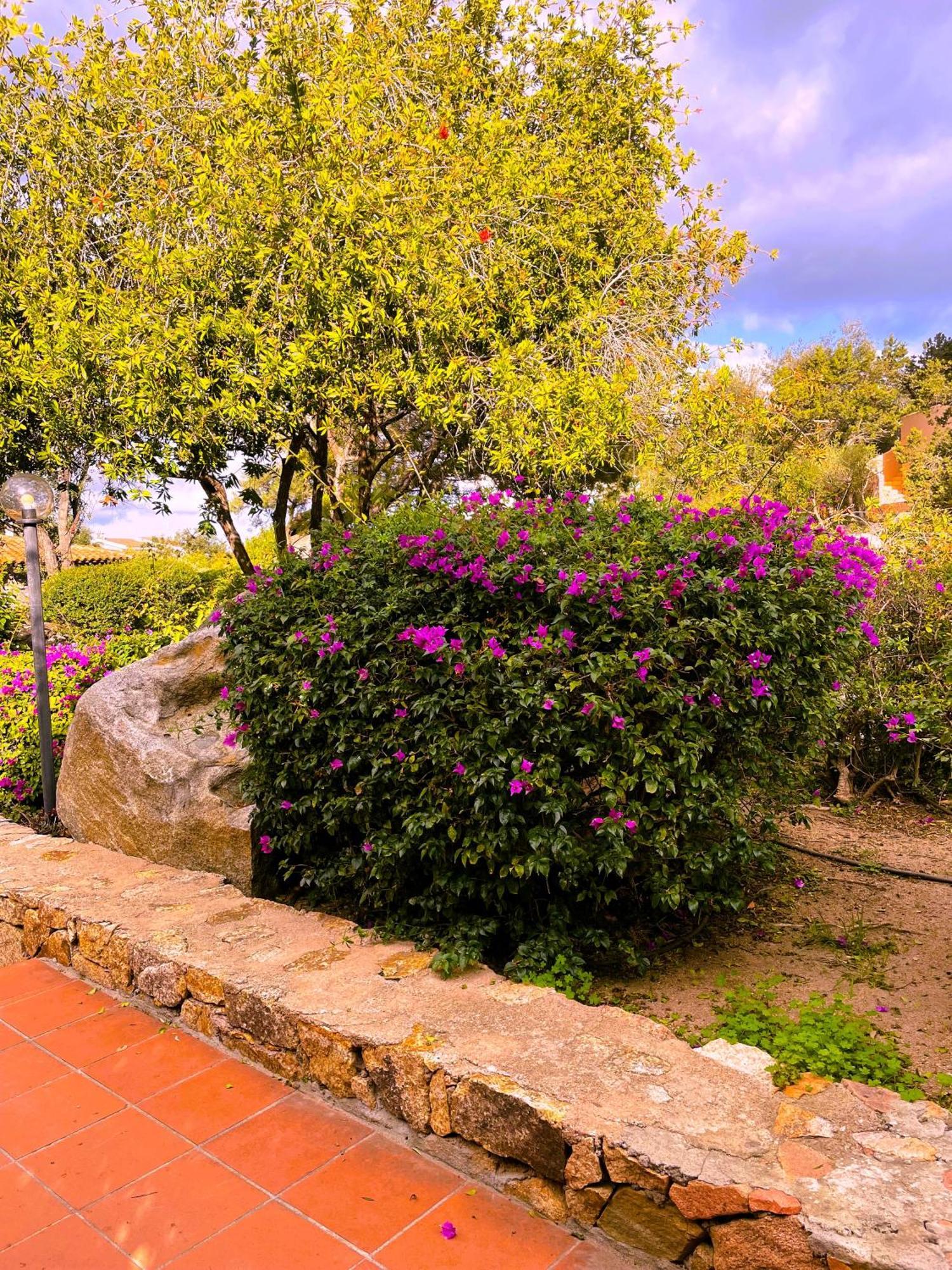 Porto Rotondo Centro - Splendido Appartamento Con Terrazza Exterior photo